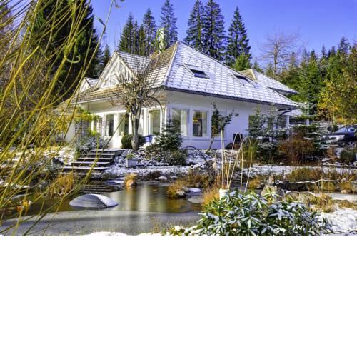 Ferienhaus Feldberg