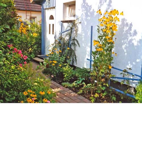 Ferienhaus Fuhlendorf FDZ 471