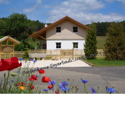 Ferienhaus Geyerbad