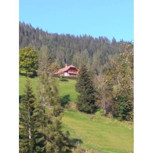Ferienhaus Gstoderblick