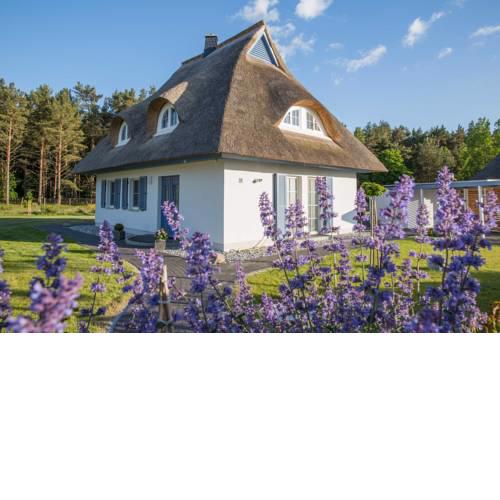 Ferienhaus Haubenlerche 16