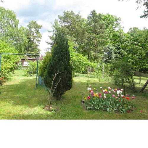 Ferienhaus Himmelpfort SEE 8861