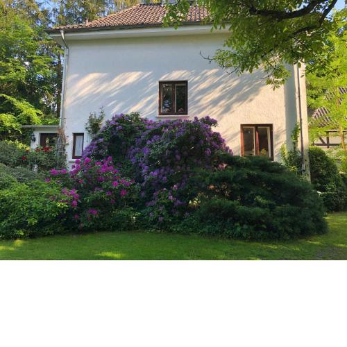 Ferienhaus Hudemühlen