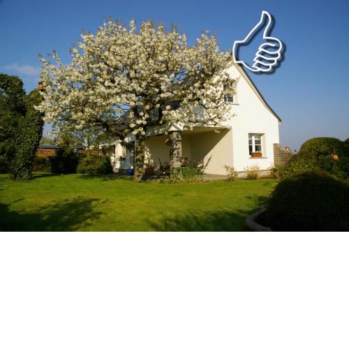 Ferienhaus Hummel-Nest