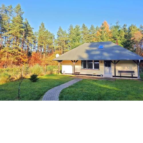 Ferienhaus im Wald Lübberstorf WEST 361