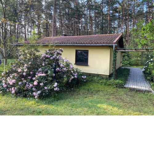 Ferienhaus im Wald