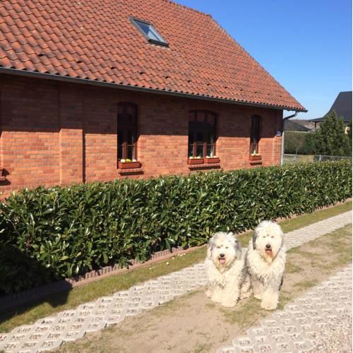 Ferienhaus Kranichnest