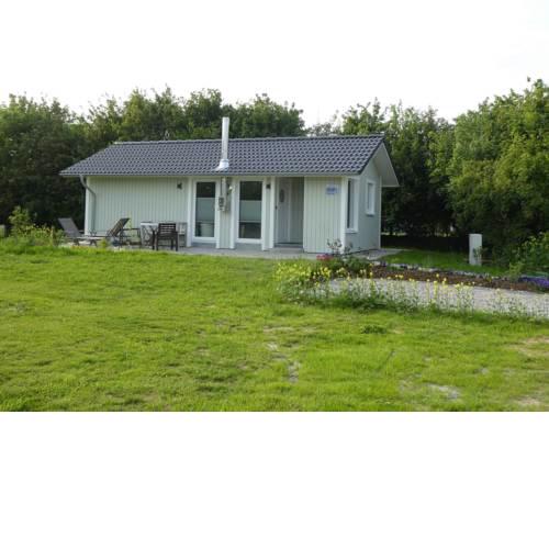 Ferienhaus Lachmöwe