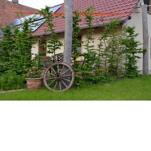 Ferienhaus "Landromantik"