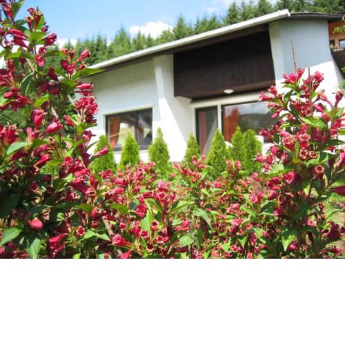 Ferienhaus-Lind