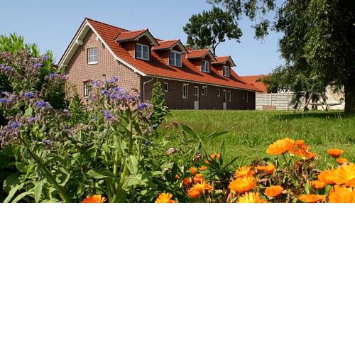 Ferienhaus Lobbe - Apt. 01