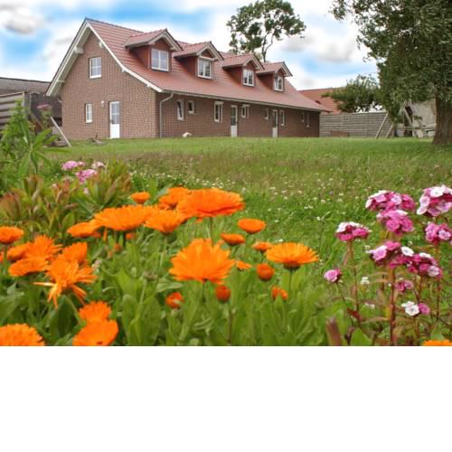 Ferienhaus Lobbe F 544 WG 02 in absoluter Idylle