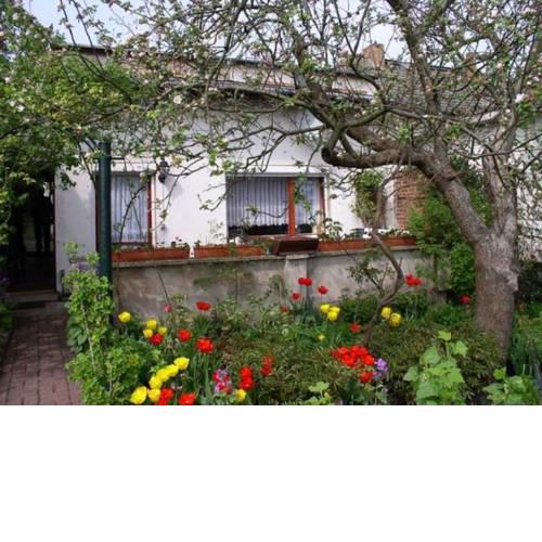 Ferienhaus Malchow SEE 4671