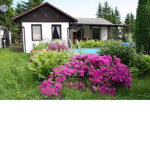 Ferienhaus Maxen