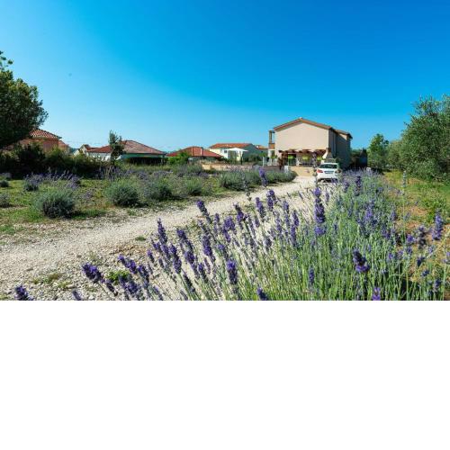 Ferienhaus mit Privatpool für 8 Personen ca 110 m in Privlaka, Dalmatien Norddalmatien