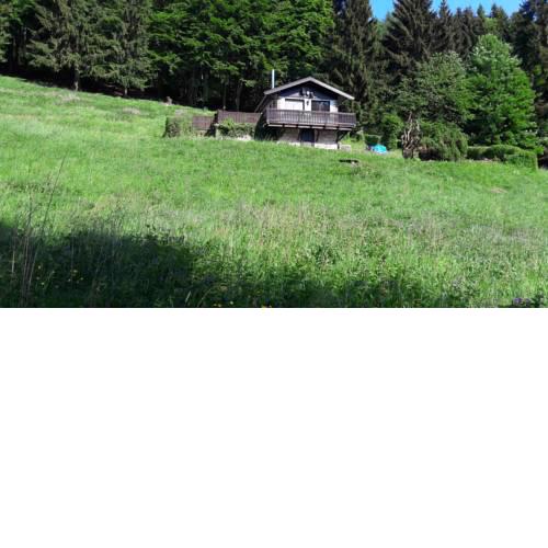 Ferienhaus Moosbachtal Thüringer Wald bei Oberhof