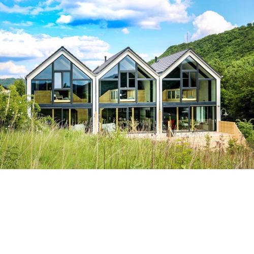Ferienhaus Mosel Chalet "Mitte"