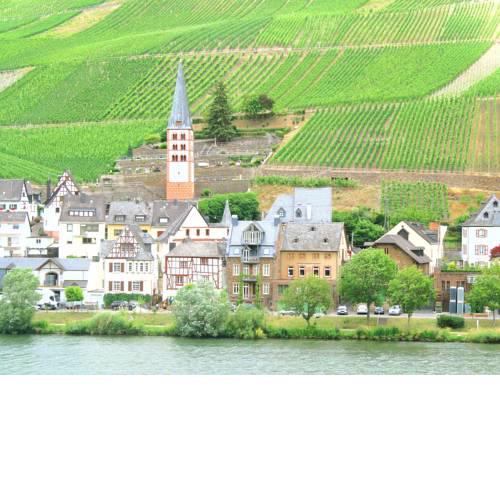 Ferienhaus Moselmerle