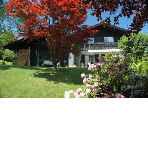 Ferienhaus Nest