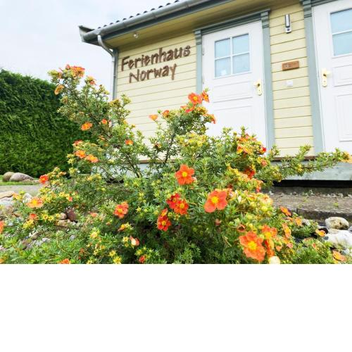 Ferienhaus Norway