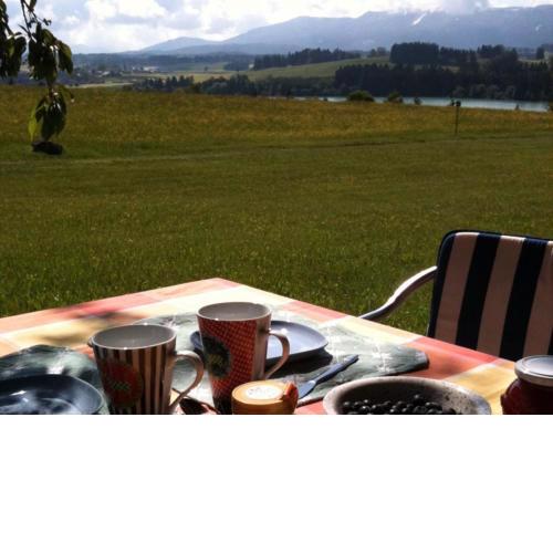 Ferienhaus Nr 110, Typ A, Feriendorf Hochbergle, Allgäu