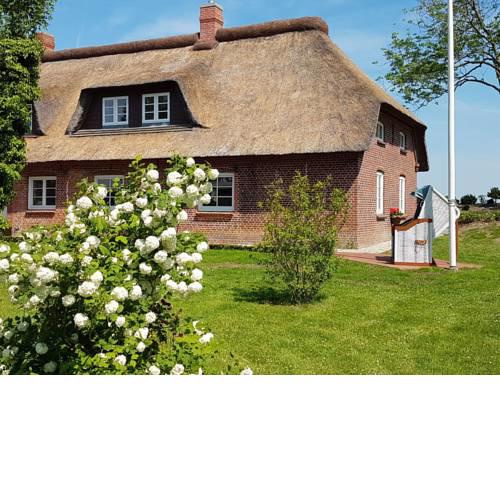 Ferienhaus Perle unter Reet