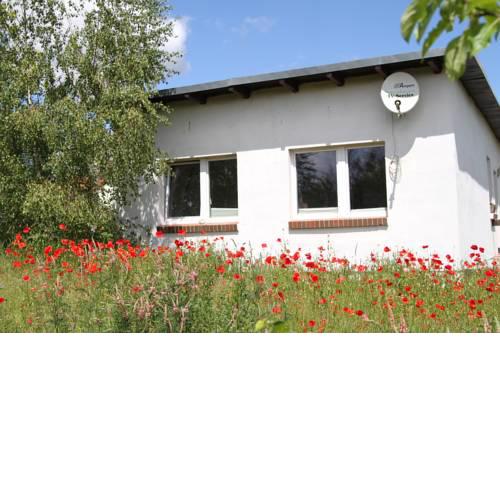 Natur-Ferienhaus Petersberg
