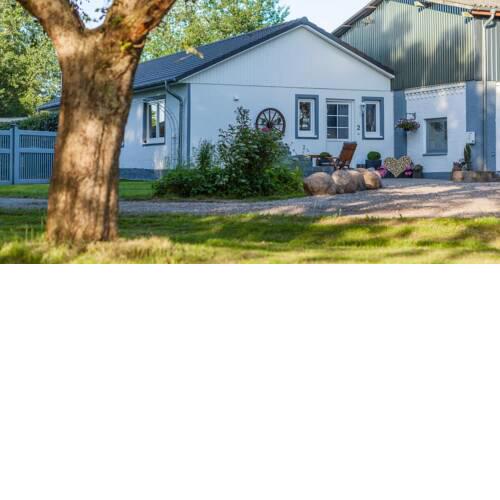 Ferienhaus Ponderosa - a44717