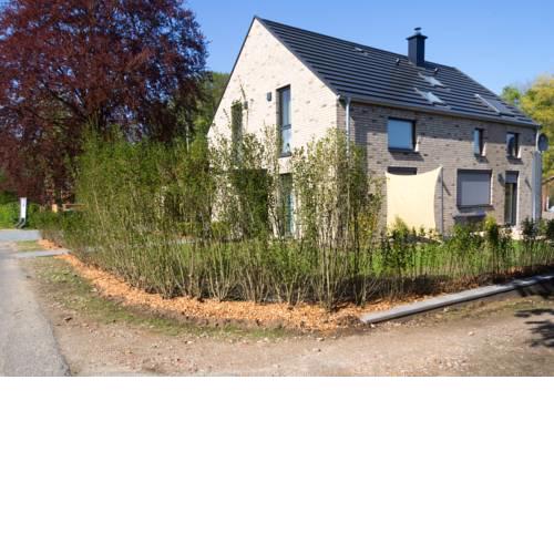 Ferienhaus Schleiharmonie