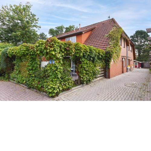 Ferienhaus Schmidt-Rottluff