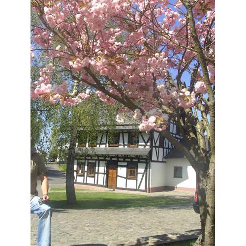 Ferienhaus Schmitt