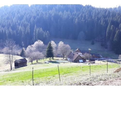 Ferienhaus Schwarzwald Seewald Erzgrube Badesee 100% Natur