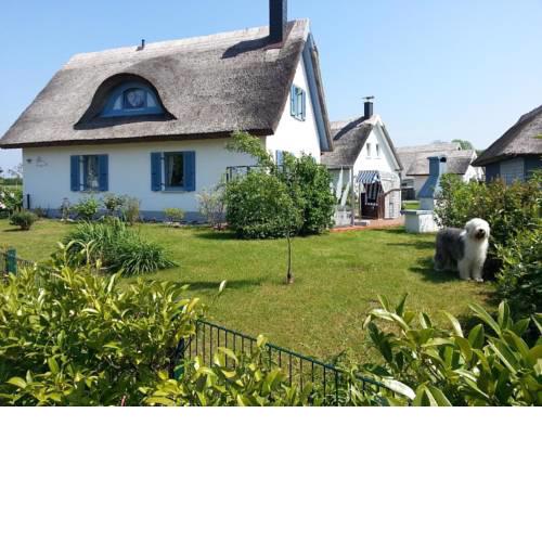 Ferienhaus Seehund