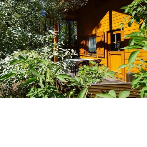 Ferienhaus "Seelöwe Baabe"