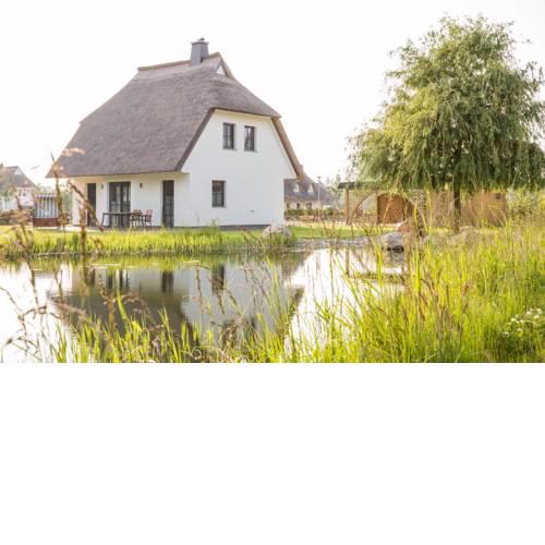 Ferienhaus Seeschwalbe 37