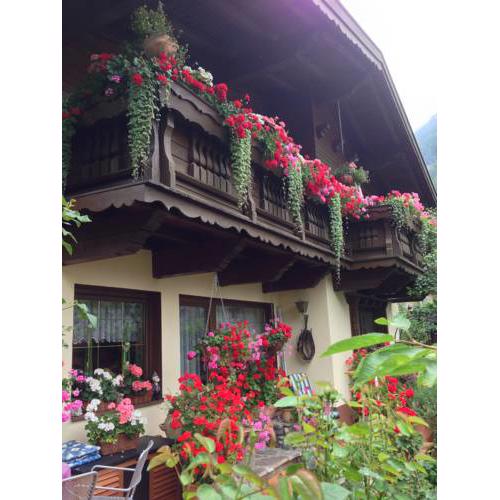 Ferienhaus Steindl