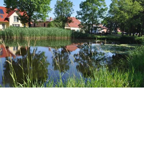 Ferienhaus Stolpe USE 2481