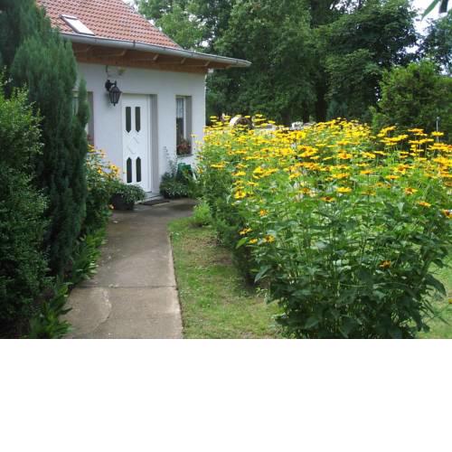Spacious Holiday Home in Sommerfeld near Lake