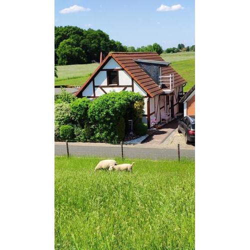 Ferienhaus Strandblume