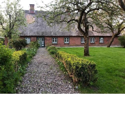 Ferienhaus Süd Hasselberg