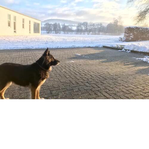Ferienhaus Talblick