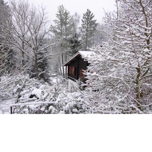 Ferienhaus Taunus I