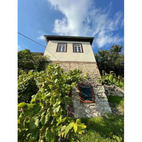 Ferienhaus Traminer im Weinberg