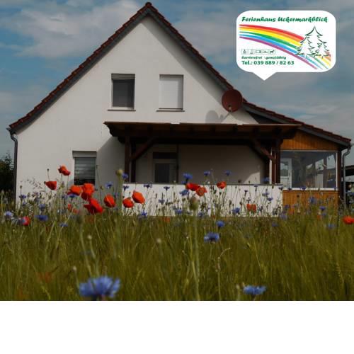 Ferienhaus-Uckermarkblick