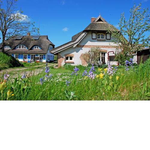 Ferienhaus unterm Reetdach