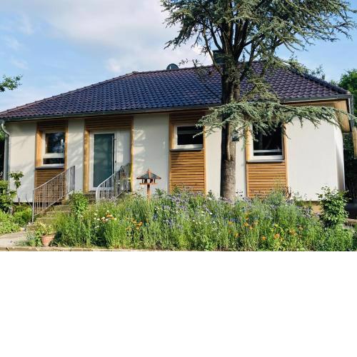 Ferienhaus Urwald