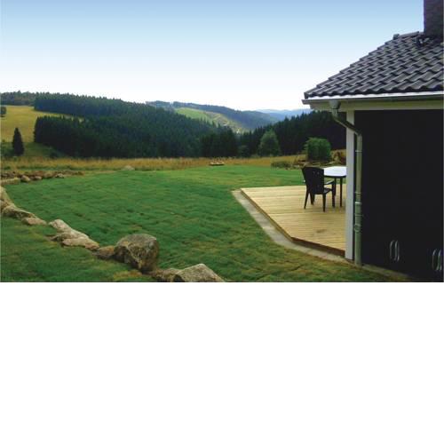 Ferienhaus Venus I