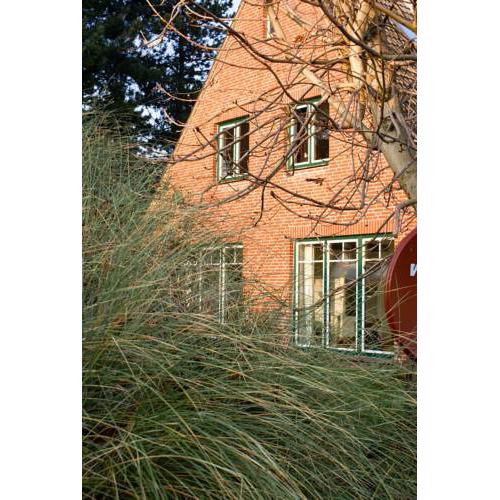 Ferienhaus von Ahrentschildt-Pestalozzistrasse 29