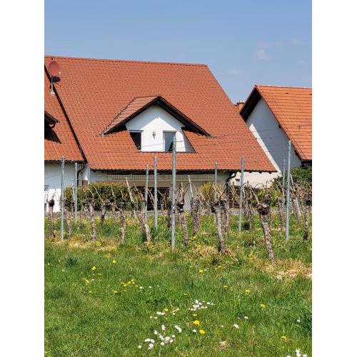 Ferienhaus Vongerichten