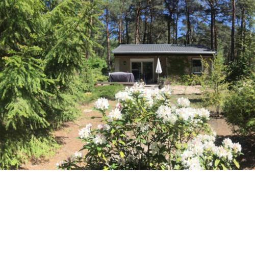 Ferienhaus Wald und Seeidylle nahe Badeseen, Berlin,Tropical Island, Spreewald